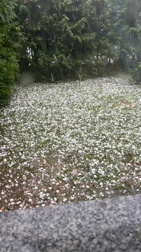 Koszyce Małe /Joanna Kusiak /