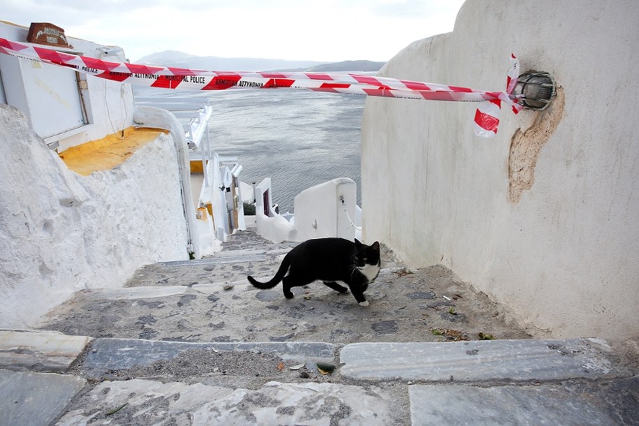 Kot chodzący po oddzielonym przez policję terenie w miejscowości Oia na greckiej wyspie Santorini /ORESTIS PANAGIOTOU /PAP/EPA