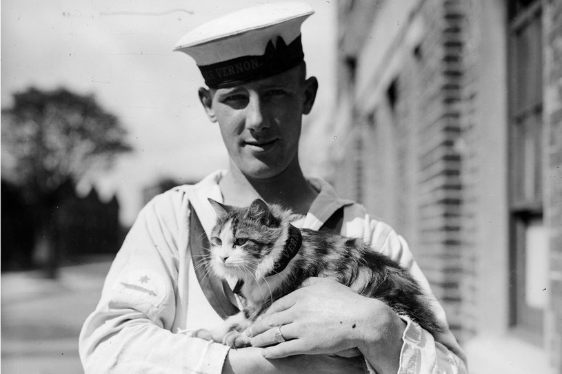 Kot Minnie pracował na statku HMS Vernon, 1931 rok /Getty Images/Flash Press Media