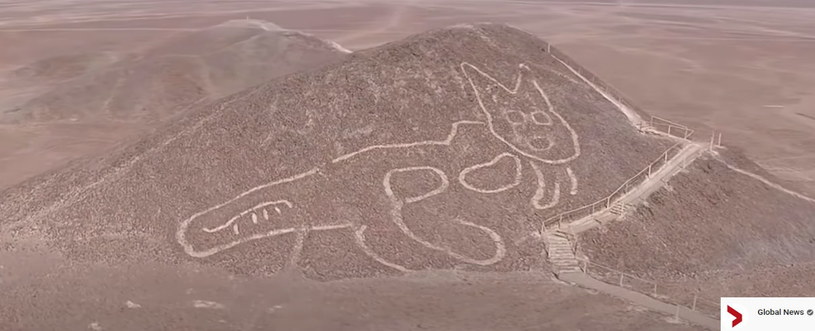 Kot na pustyni Nazca. Fot. YouTube/Global News /YouTube