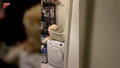 Kot wspina się na pralkę, żeby po chwili sfrunąć w koszu na bieliznę