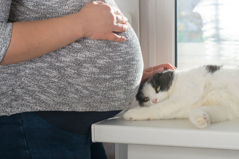 Kot zagraża ciąży? Zamiast powtarzać nieprawdziwe mity, warto sięgnąć po wiedzę /123RF/PICSEL