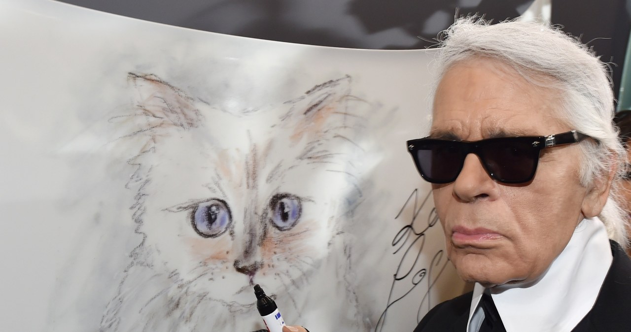 Kotka Choupette to największa miłość projektanta. Lagerfeld specjalnie dla niej zatrudnił dwie opiekunki /East News