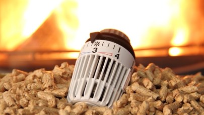 Kotły na pellet wracają do gry. Dofinansowanie możliwe