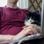 Koty przejęły amerykański rynek. Gen Z i "cat dads" weszli do gry