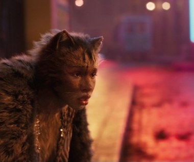 "Koty” to jeden z najdłużej wystawianych musicali w historii West Endu i Broadwayu. Przedstawienie zadebiutowało na deskach New London Theatre w 1981 roku, gdzie grano je przez 21 lat. Wielokrotnie nagradzane, otrzymało m.in. nagrodę Oliviera oraz Evening Standard dla najlepszego musicalu. 

W 1983 roku broadwayowska produkcja otrzymała 7 nagród Tony, w tym dla najlepszego musicalu. Na Broadwayu sztuka święciła triumfy przez 18 lat! Musical wystawiono w ponad 50 krajach, w 19 językach. Szacuje się, że sceniczną wersję obejrzało dotąd ponad 81 milionów ludzi.