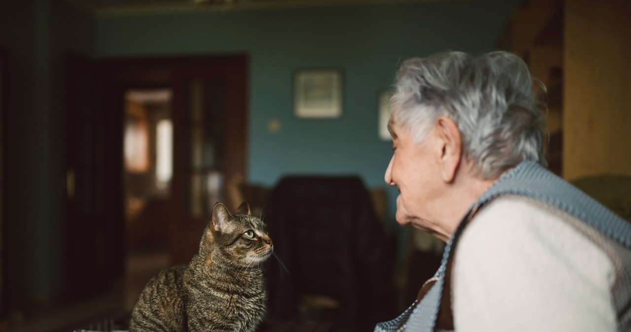 Koty uwielbiają towarzystwie seniorów z wzajemnością /123RF/PICSEL