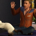 Koty w grze The Sims 3: Zwierzaki