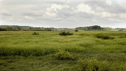 KOWR wzywa nabywcę do zwrotu działki pod CPK