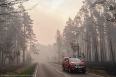 Kozaki: Gigantyczny pożar lasu