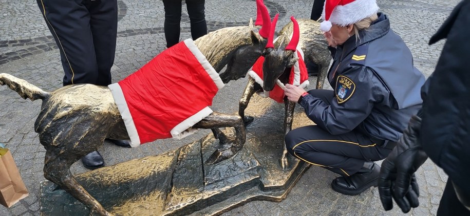 Koziołki na placu Kolegiackim /Beniamin Piłat /RMF24