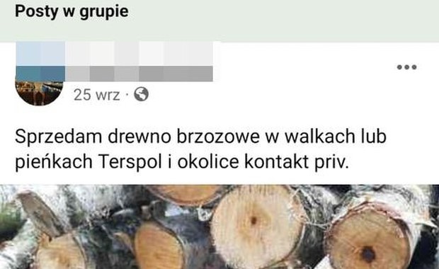 Kradli drzewo i sprzedawali je w internecie