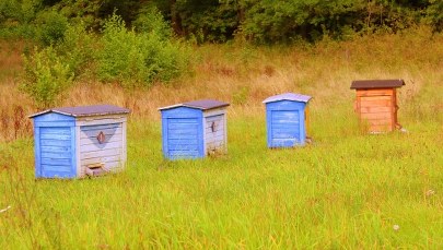 Kradzież uli na Opolszczyźnie. Straty to kilkanaście tysięcy złotych