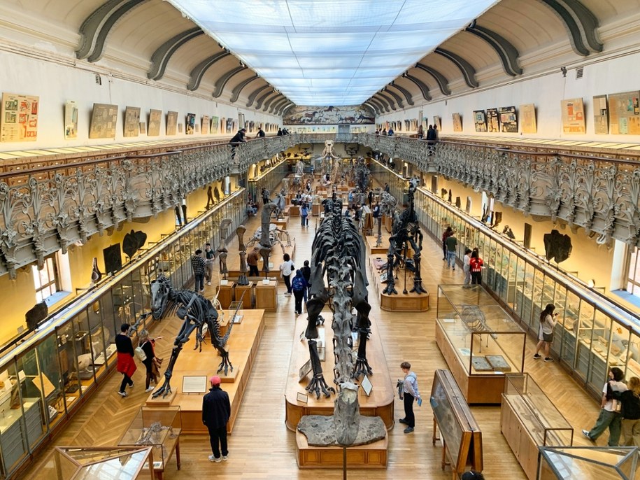 Kradzież złota z Muzeum Historii Naturalnej w Paryżu. 24-letnia Chinka zatrzymana (zdjęcie poglądowe) /Shutterstock