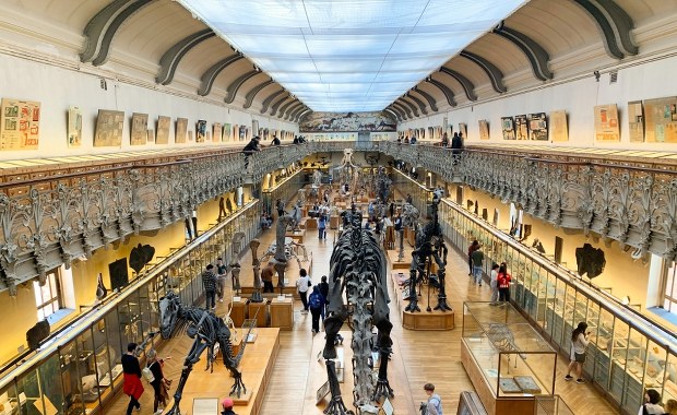 Kradzież złota z muzeum w Paryżu. Chinka w rękach policji