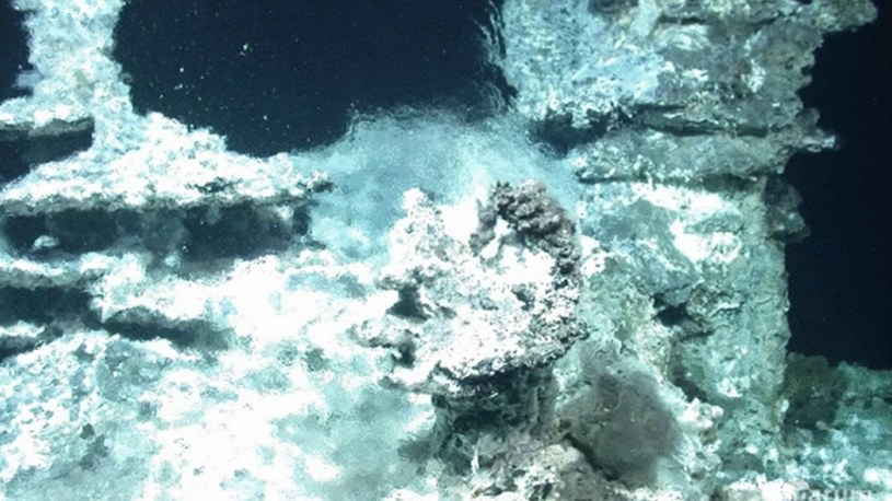 Kraina cudów odnaleziona pod falami oceanu. Jest u wybrzeży Norwegii