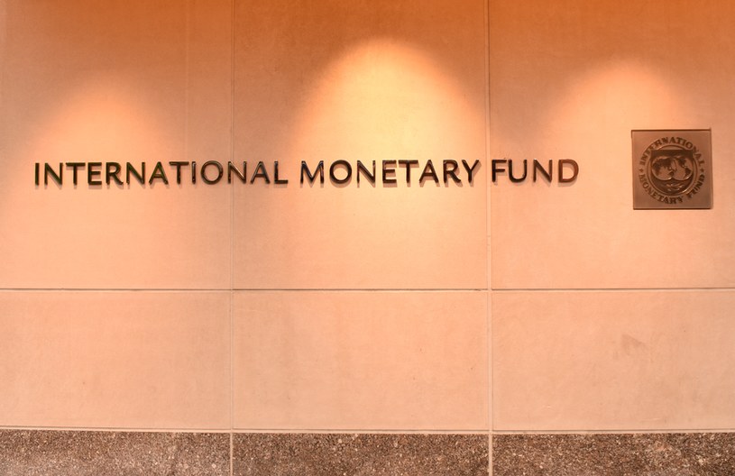 Kraje członkowskie Funduszu przyjęły wspólne stanowisko w sprawie wojny podczas odbywającego się w Waszyngtonie spotkania MFW i Banku Światowego /123RF/PICSEL