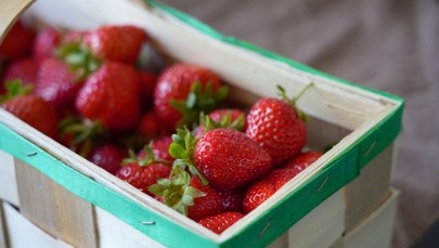 "Krajobraz, kultura i smak truskawki kaszubskiej". Kaszëbskô malëna druga na świecie