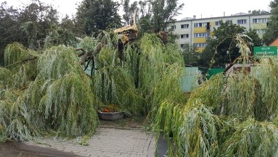 Krajobraz po burzy w Warszawie