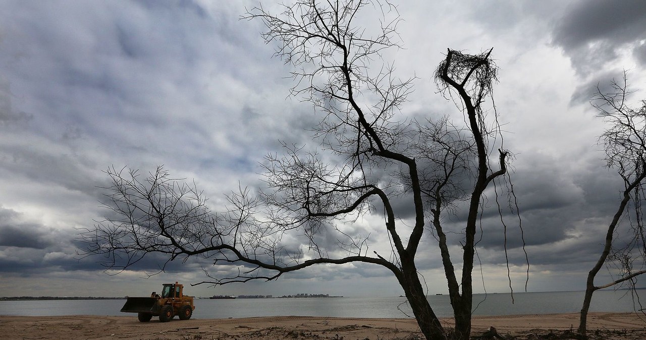 Krajobraz po huraganie Sandy /AFP