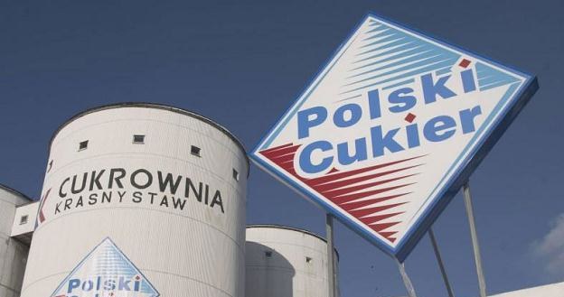 Krajowa Spółka Cukrowa jest największym w Polsce i ósmym co do wielkości producentem cukru w Europie /