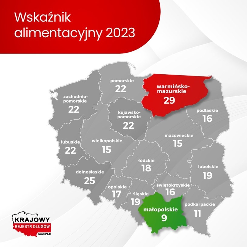 Krajowy Rejestr Długów podał, gdzie Polacy najczęściej nie płacą na swoje dzieci /materiały prasowe