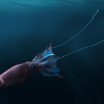 Kraken istniał naprawdę. Znaleźli morskiego potwora