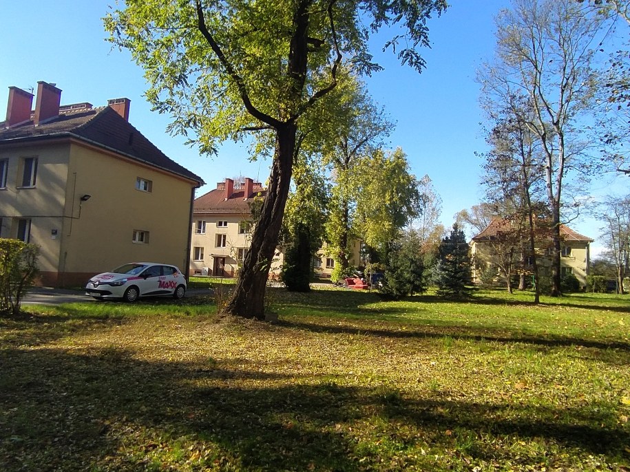 Kraków. Bloki na działce na południe od składowisk huty /Przemysław Błaszczyk /RMF MAXX