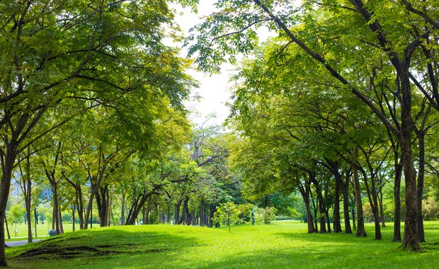 ​Kraków. Bronowice Małe zyskają park rzeczny. ZZM ogłosił przetarg