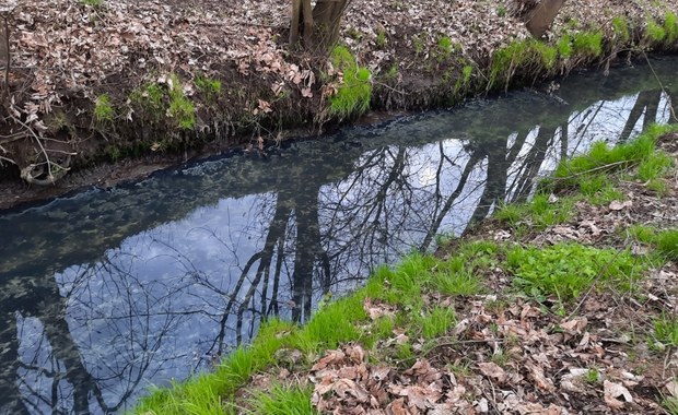 Kraków: Chemikalia z lotniska nie szkodzą środowisku?