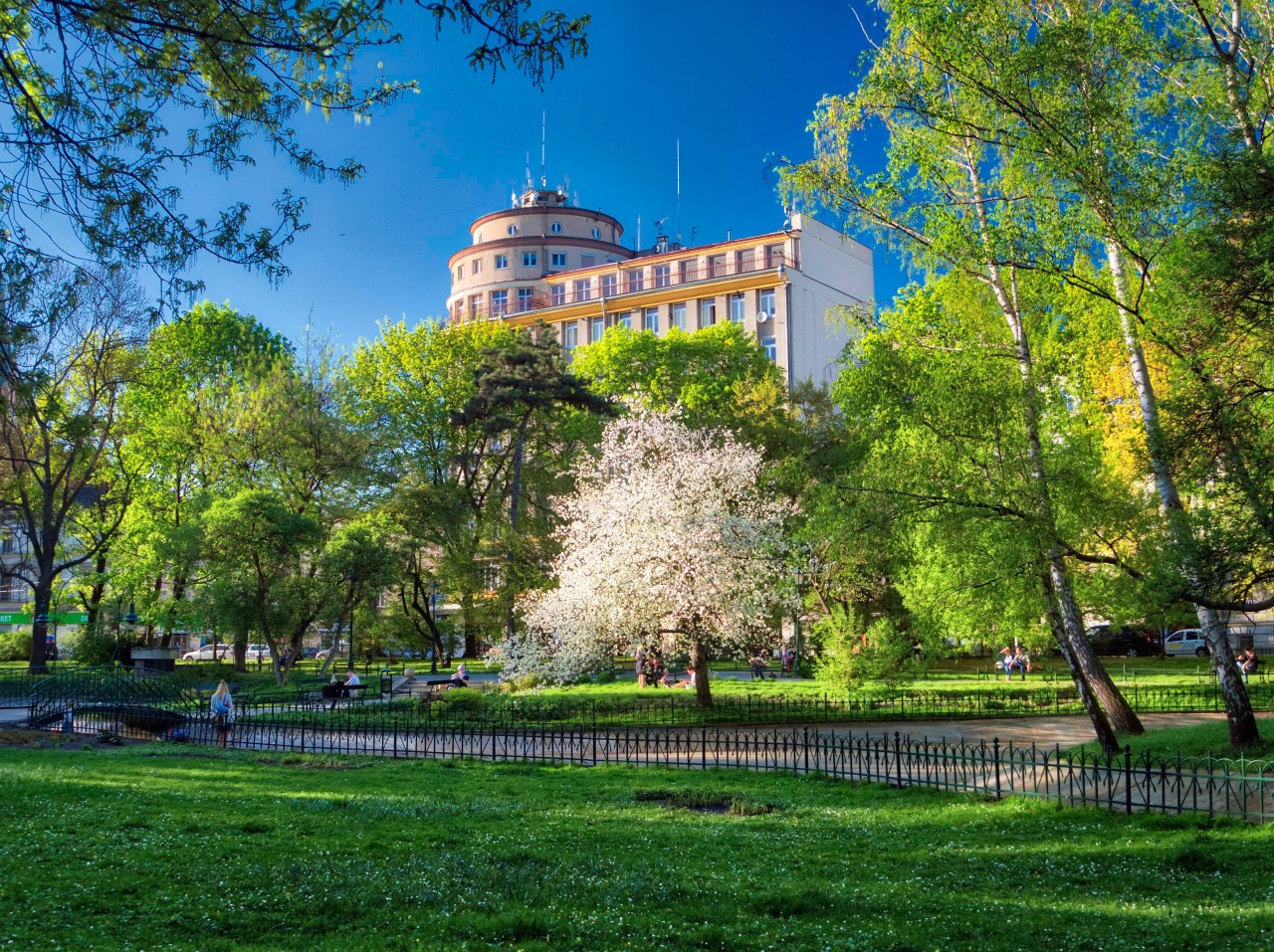 Kraków chwali się zielenią. Na nowej stronie sprawdzisz nasadzenia