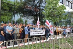 Kraków: Demonstracje ws. Puszczy Białowieskiej