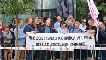 Kraków: Demonstracje ws. Puszczy Białowieskiej