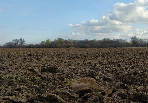 Kraków, jedno z pól  uprawnych znajdąjących się w sąsiedztwie skażonych działek /Przemysław Błaszczyk /RMF MAXX