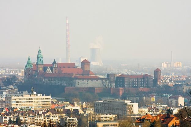 Kraków jest miastem największych obniżek cen /&copy;123RF/PICSEL
