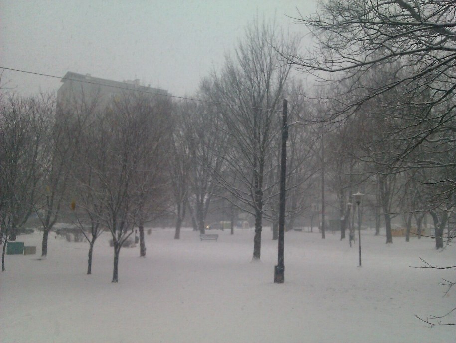 Kraków. Krowodrza. Widok z okna /Edyta Sienkiewicz /RMF FM