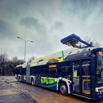 ​Kraków ma nowe elektryczne autobusy