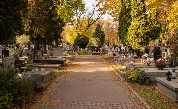 Kraków: Meleksy dowożą seniorów na groby bliskich