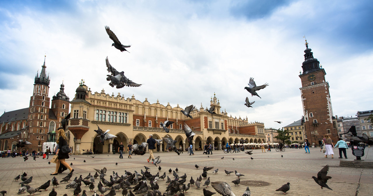 Kraków na liście wyjątkowych destynacji TripAdvisor /123RF/PICSEL