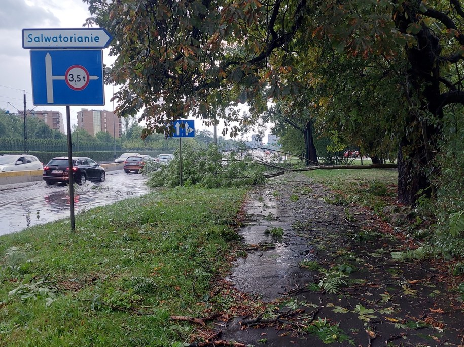 Kraków po nawałnicy /Gorąca Linia RMF FM