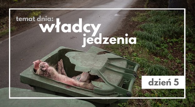 Kraków stał się stolicą ekologicznego kina! /Materiały prasowe