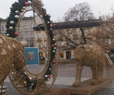 Kraków stroi się na święta