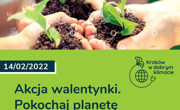 Kraków: W Walentynki za elektroodpad będzie można dostać roślinę 