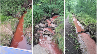 Kraków: Woda w potoku ma czerwony kolor 