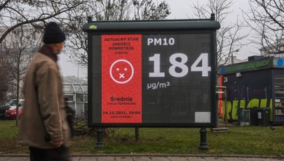 Kraków wzorem dla Europy? Odważna decyzja uratowała życie 6 tys. osób