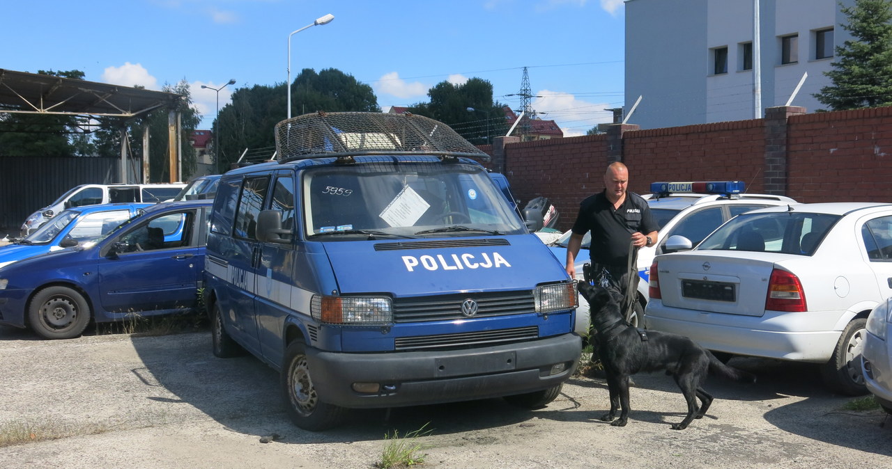 Kraków: Zawody psów policyjnych