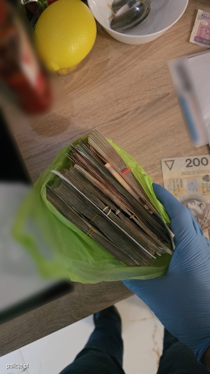 Krakowscy policjanci rozbili grupę handlującą środkami farmakologicznymi, szef grupy milionowe zyski lokował w zakup samochodów z USA. /KWP w Krakowie  /