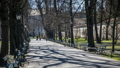 Krakowskie Planty przejdą metamorfozę 