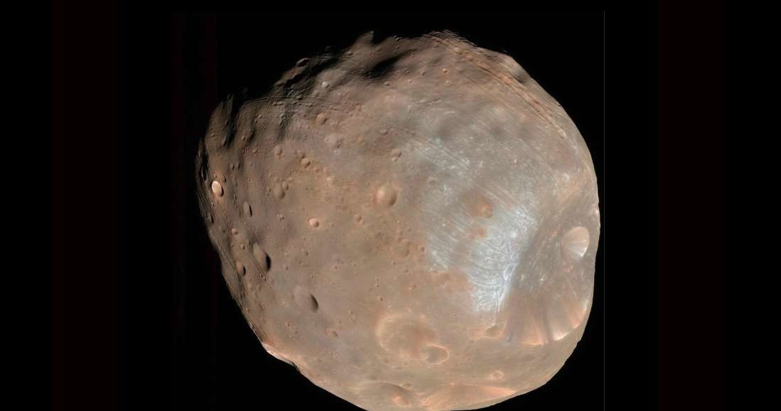 Kratery na Fobosie, większym z marsjańskich księżyców /NASA