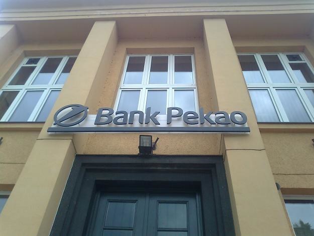 Kredytu udzielił Bank Pekao. Fot. Krzysztof Mrówka /INTERIA.PL